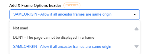 Screenshot of dropdown menu in X-Frame-Options headings
